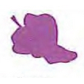 Mylar Confetti Shapes Grapes (5")